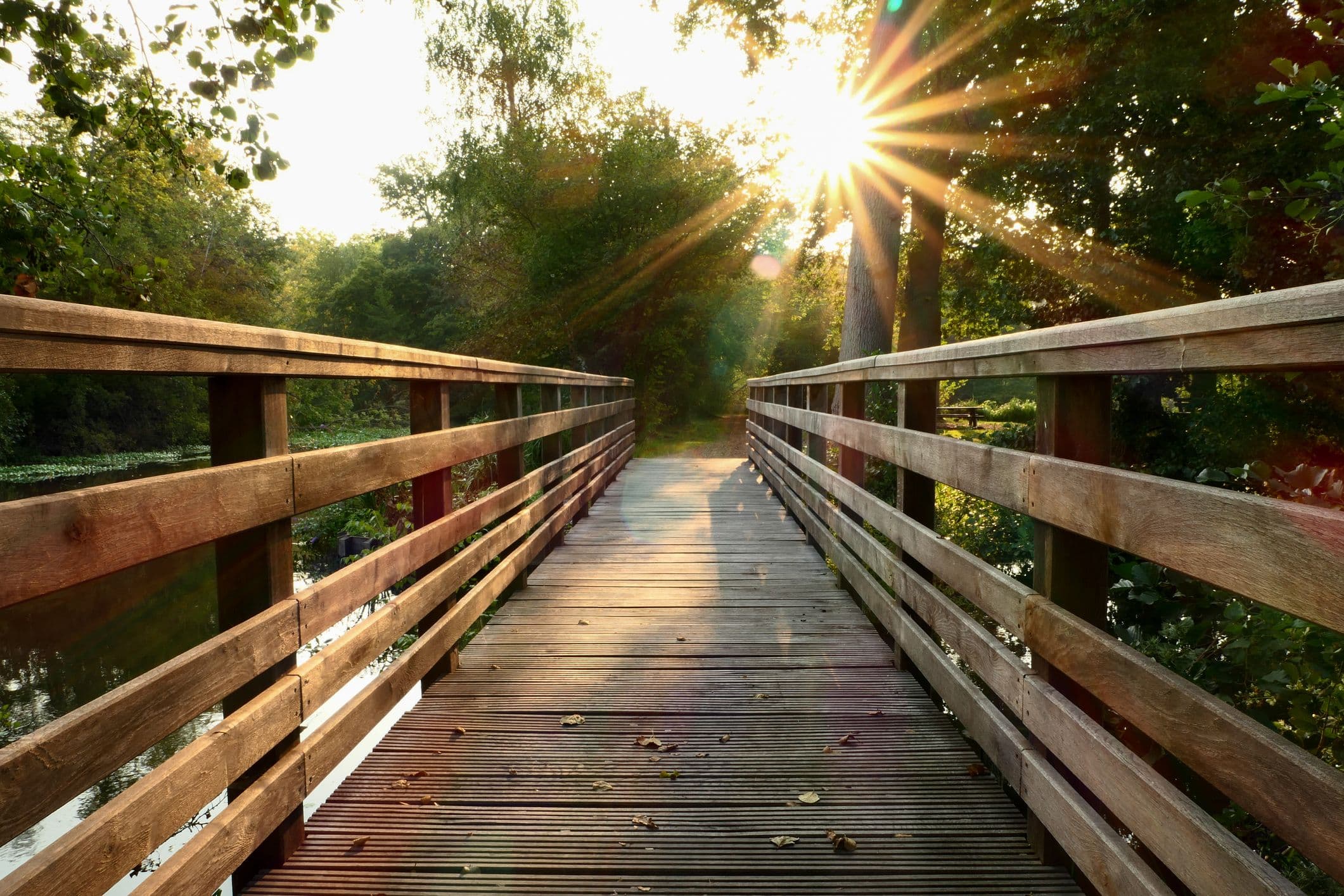 How Do Bridge Loans Work in Canada?
